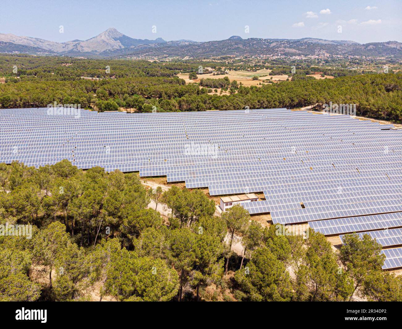 Parque de energía Solar Fotovoltaica, ses Barraques, Calviá, Mallorca, Balearen, Spanien. Stockfoto