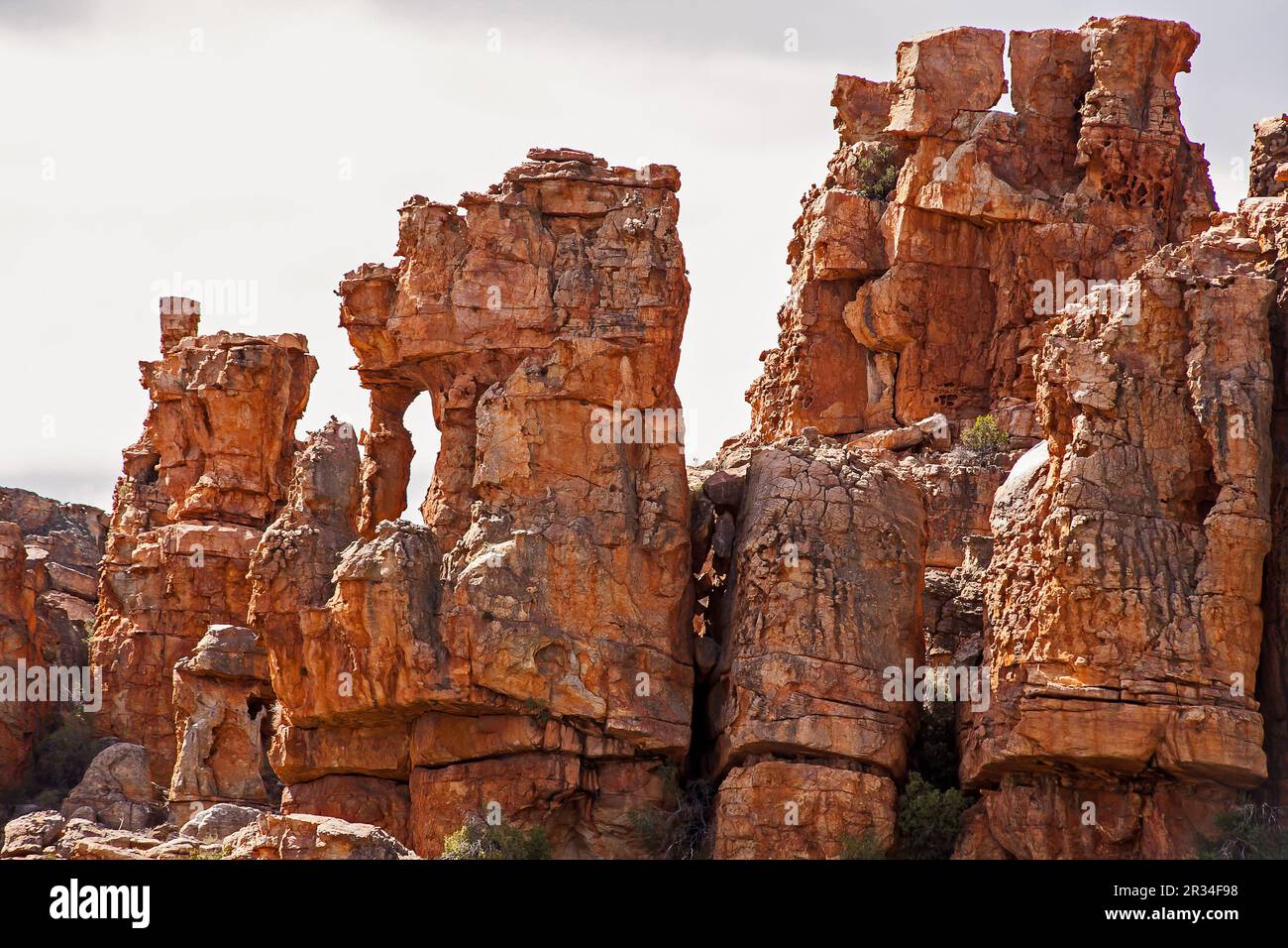 Felsformationen Cederberg 12825 Stockfoto