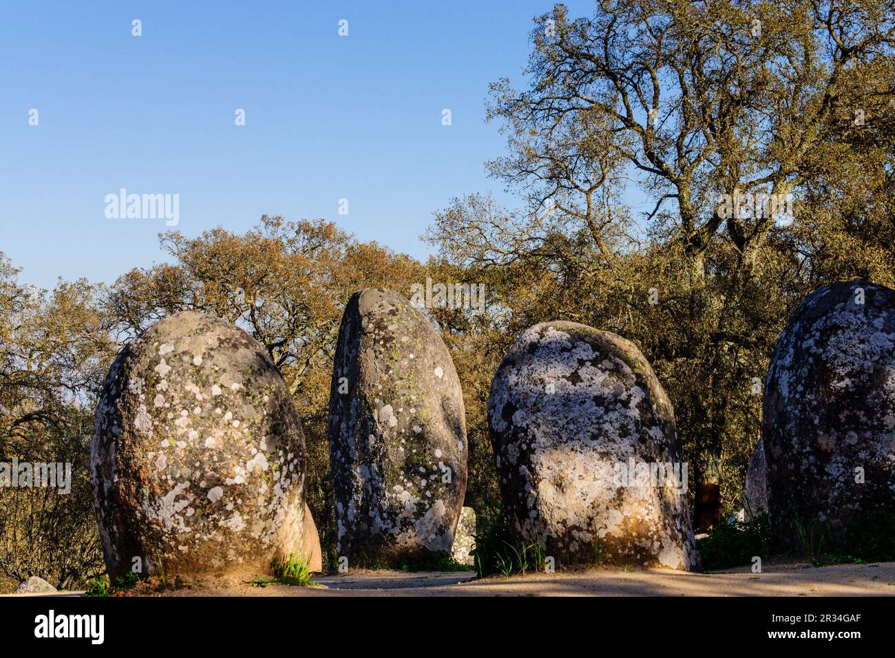 Dos Almendres Cromlech, neolitico Antiguo-Alto Das Pedras Talhas - Nossa Senhora de Guadalupe, Valverde, Évora, Alentejo, Portugal, Europa. Stockfoto