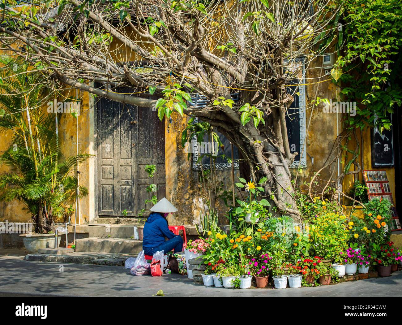 Hoi An, Vietnam, 6. März 2023. Seitenansicht einer vietnamesischen Frau mit Reishut, die an einem sonnigen Tag in der Nähe von wunderschönen Blumen in der Altstadt von Hoi an arbeitet. Stockfoto