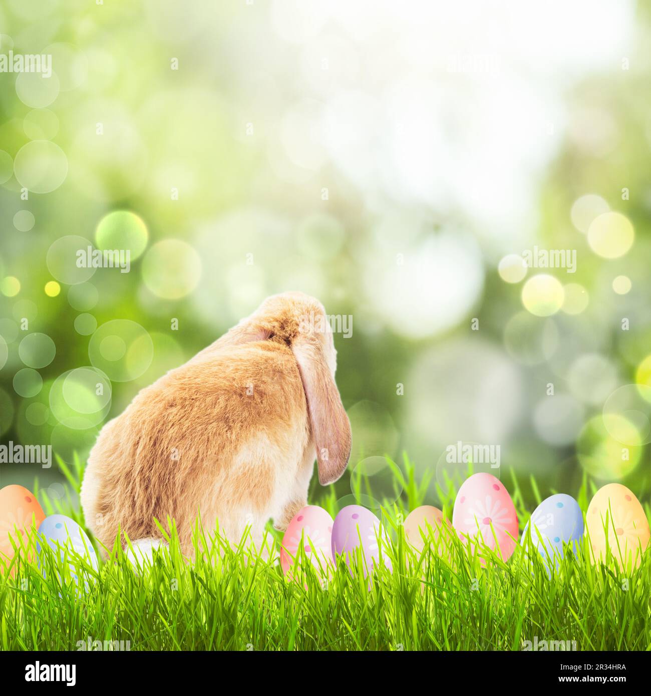 Ostergrüße Stockfoto
