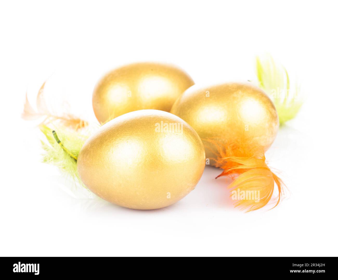 Goldenes Ei im nest Stockfoto