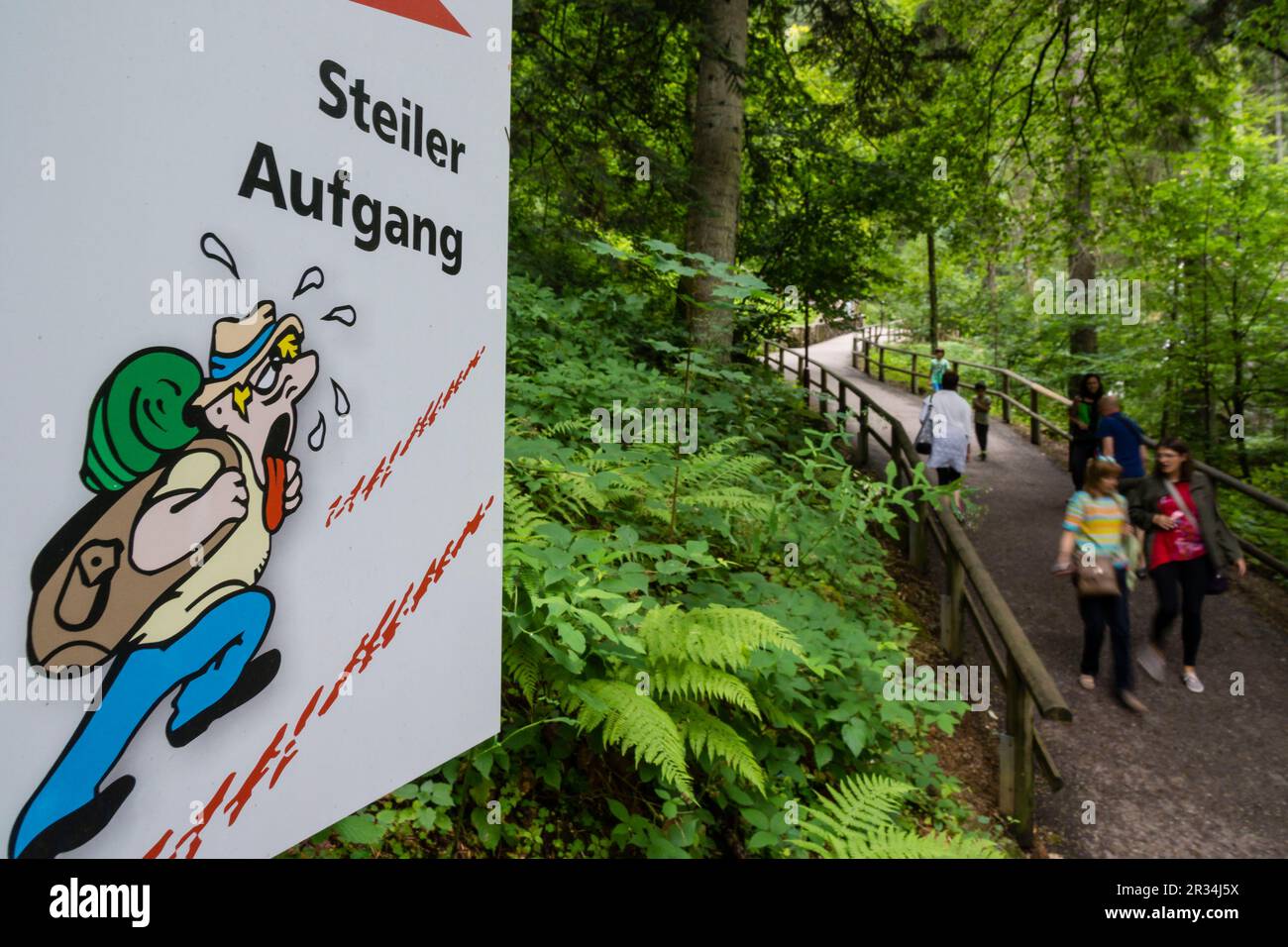 Kartell Informativo de Las Cascadas Triberg Triberger Wasserfälle