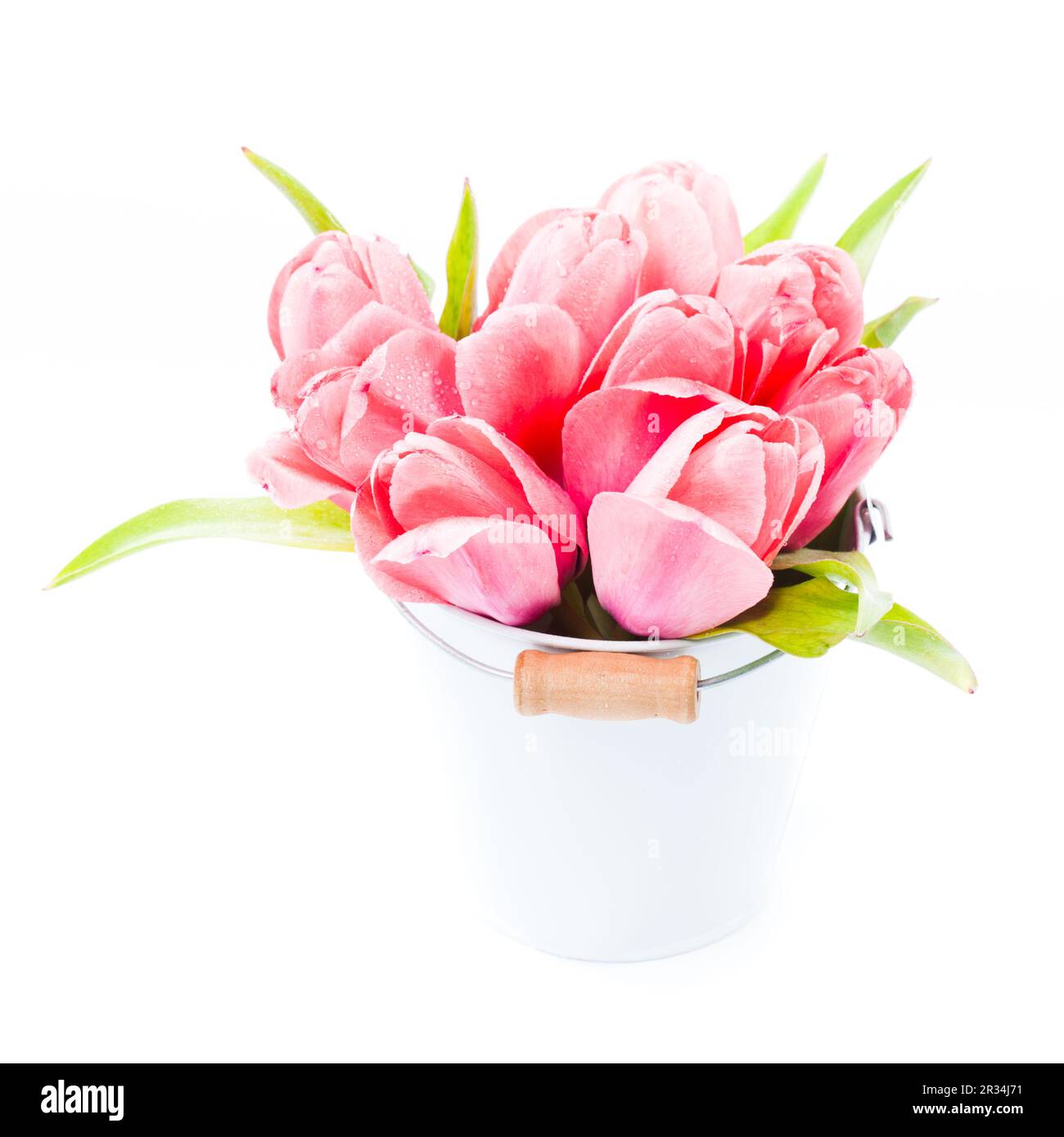 Rosa Tulpen Stockfoto