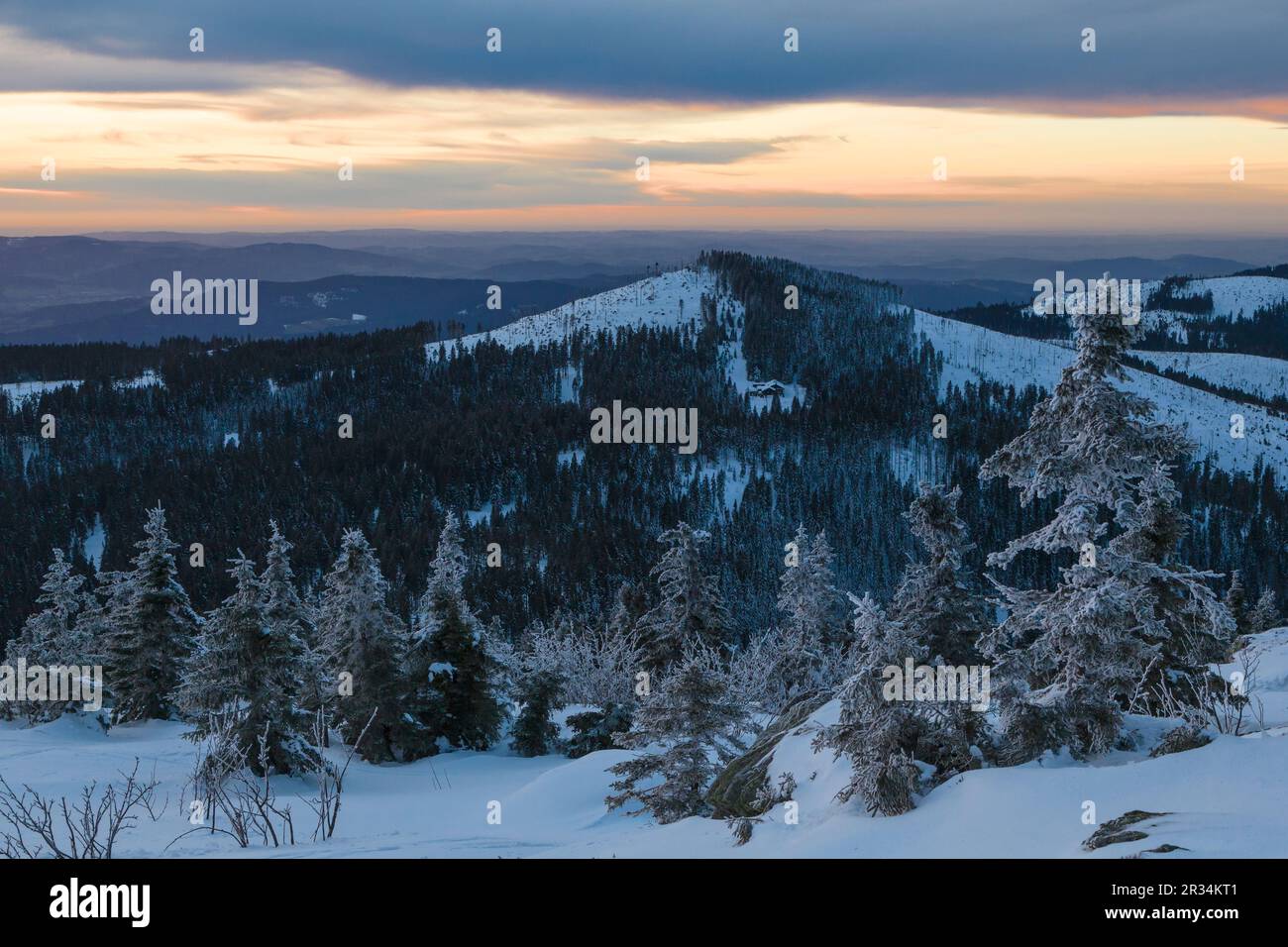 Mt. Kleiner Arber im Winter Stockfoto