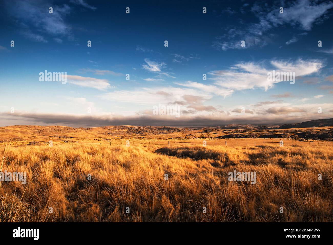 Argentinische Ausdehnung Stockfoto