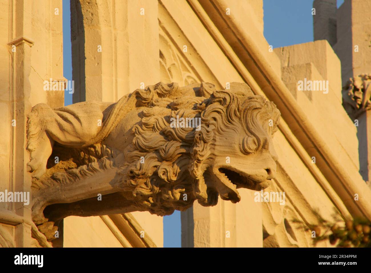 Gargola. La Llotja, siglo XV Palma. Mallorca Islas Baleares. España. Stockfoto