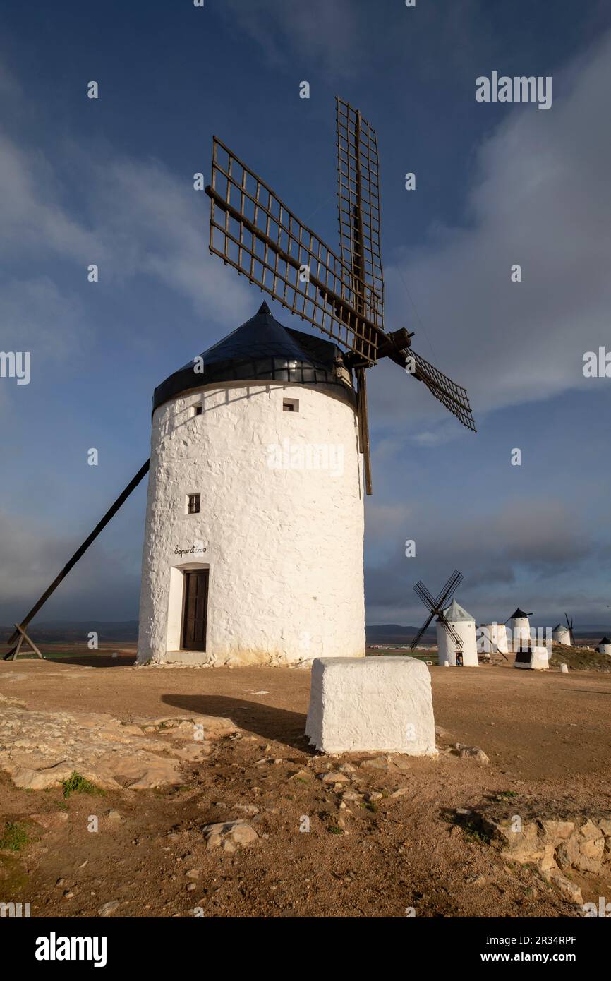 Molinos de Consuegra con el Castillo de La Muela al Fondo, Cerro Calderico, Consuegra, Provincia de Toledo, Kastilien-La Mancha, Spanien. Stockfoto