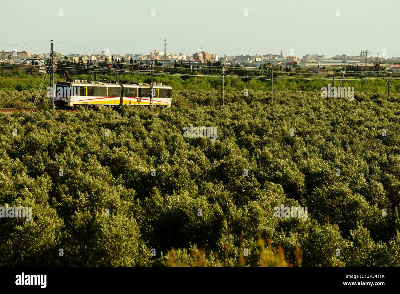 Metro de Palma de Mallorca, Sa Garriga, Mallorca, Balearen, Spanien, Europa. Stockfoto