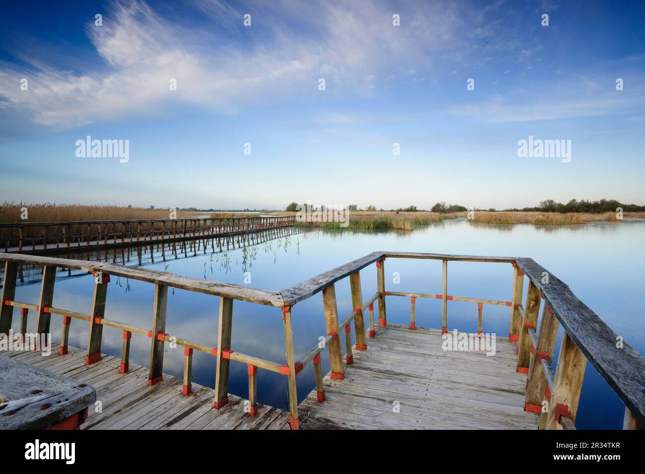 Pasarelas al Amanecer, Parque Nacional Tablas de Daimiel, Ciudad Real, Kastilien-La Mancha, Spanien, Europa. Stockfoto