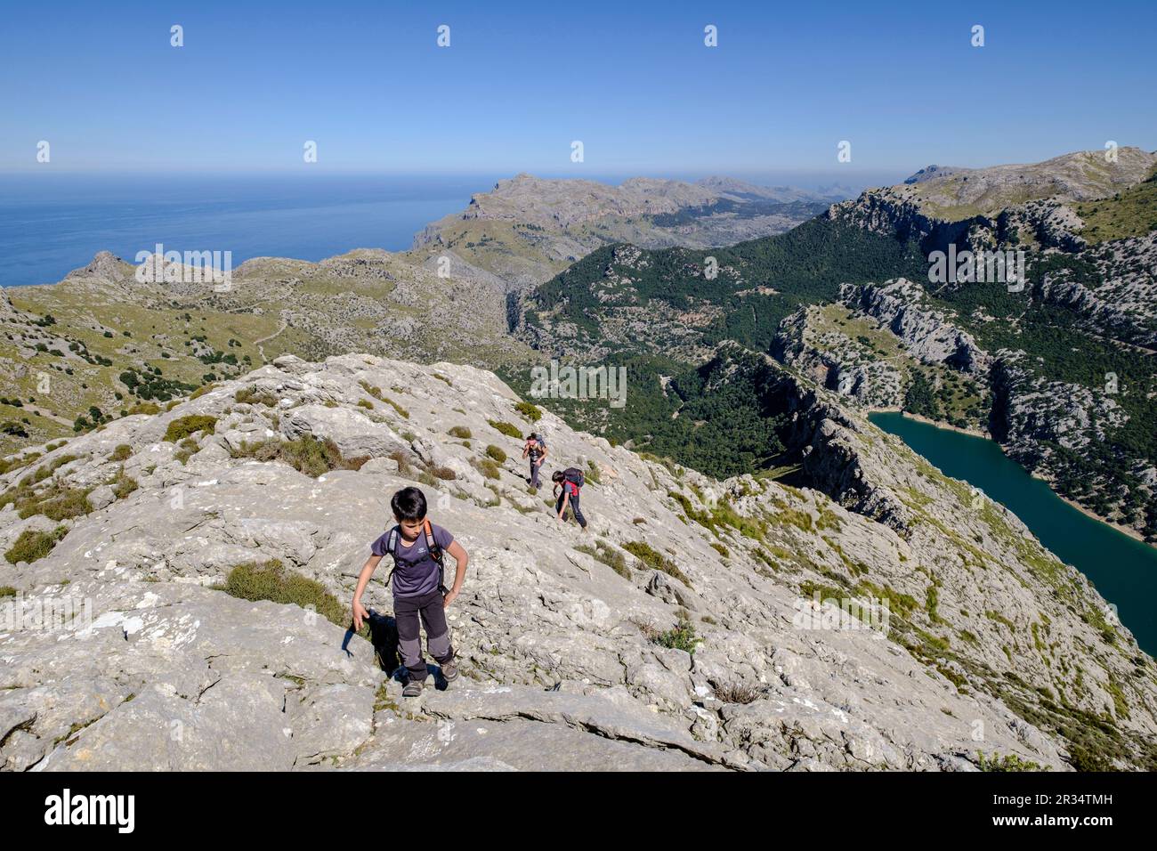 Cresta del Puig de Ses Vinyes, Escorca, Mallorca, Balearen, Spanien. Stockfoto