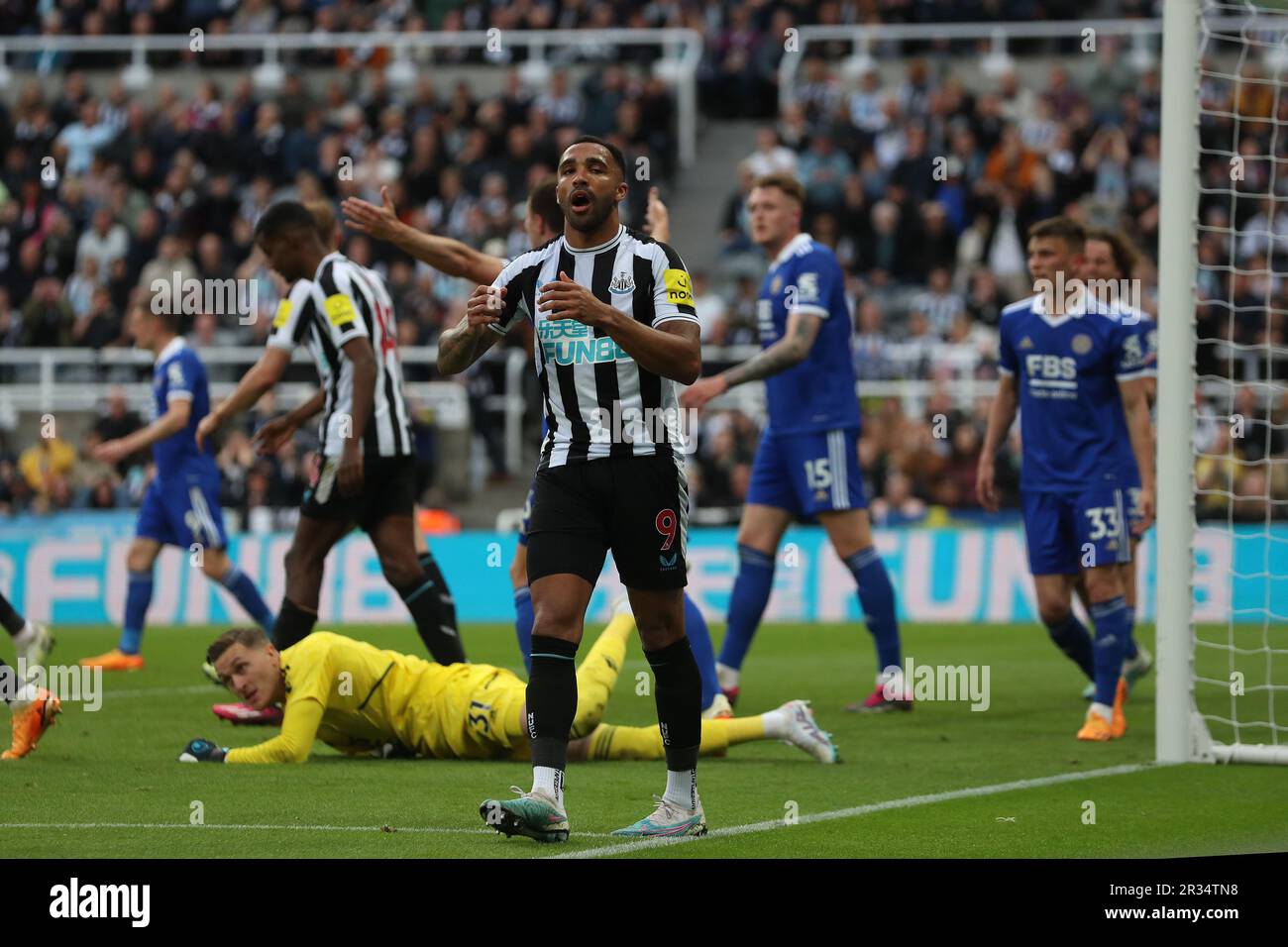 Newcastle, Großbritannien. Am 22. Mai 2023Callum reagiert Wilson von Newcastle United, nachdem er während des Premier League-Spiels zwischen Newcastle United und Leicester City at St. über die Bar gelaufen ist James's Park, Newcastle am Montag, den 22. Mai 2023. (Foto: Mark Fletcher | MI News) Guthaben: MI News & Sport /Alamy Live News Stockfoto