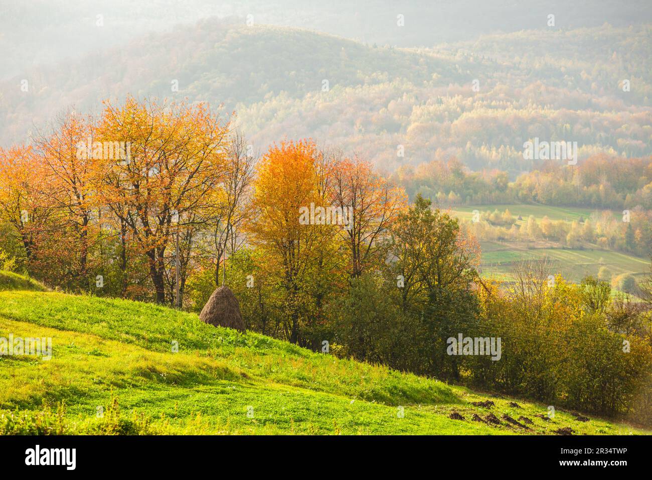 Herbstliche Landschaft Stockfoto