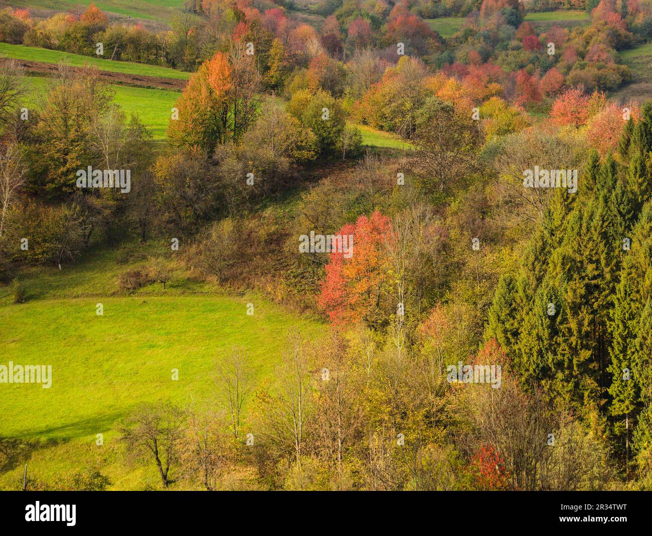 Herbstliche Landschaft Stockfoto