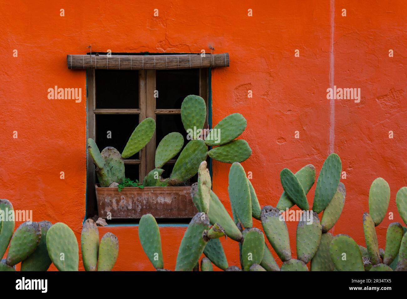 Casa de Farbe, Barrio de El Terreno, Distrito de Poniente, Palma de Mallorca, Balearen, Spanien, Europa. Stockfoto