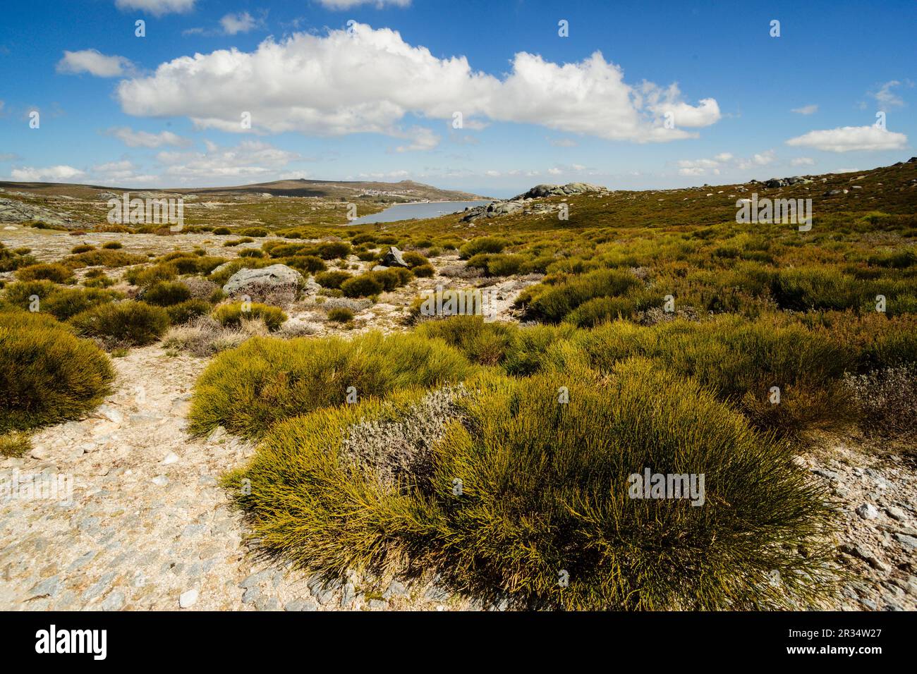 Nave de Santo António, Parque Natural de Serra Da Estrela, Beira Alta, Portugal, Europa. Stockfoto