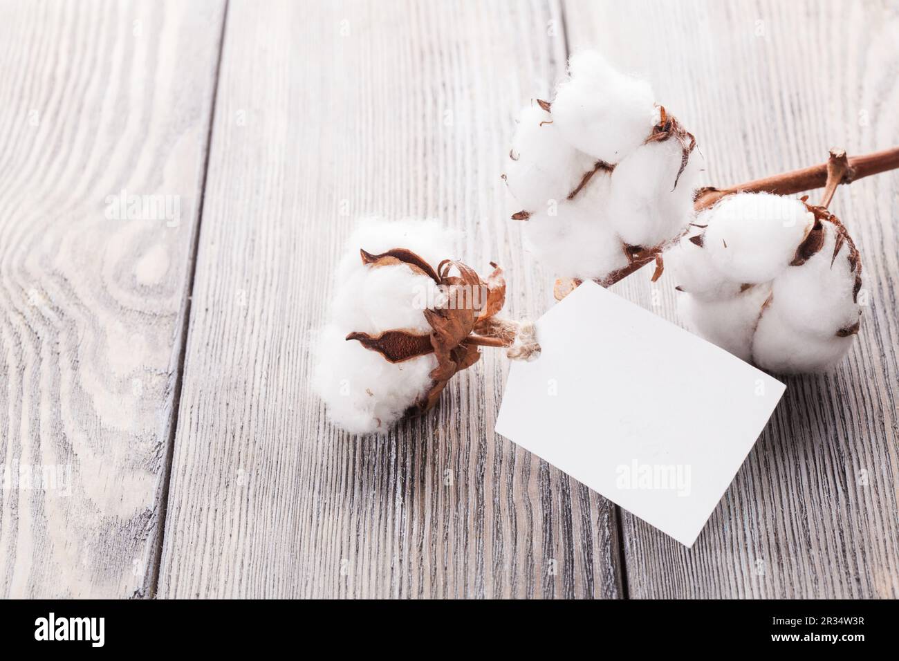 Baumwolle Bio Textil Stockfoto