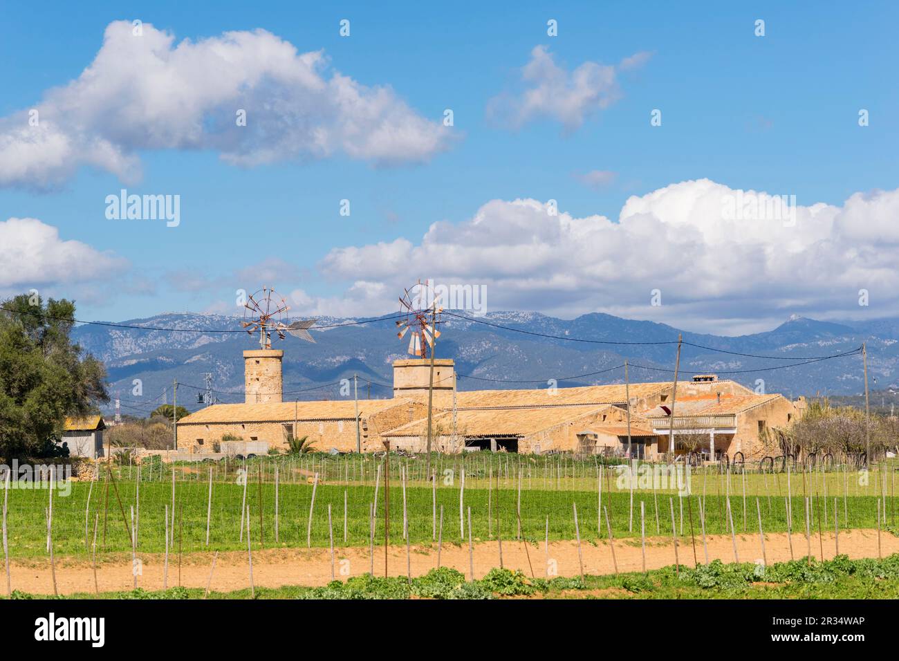 Son Santjoan, pla de Sant Jordi-lHorta de Llevant, Palma, Mallorca, balearen, Spanien. Stockfoto