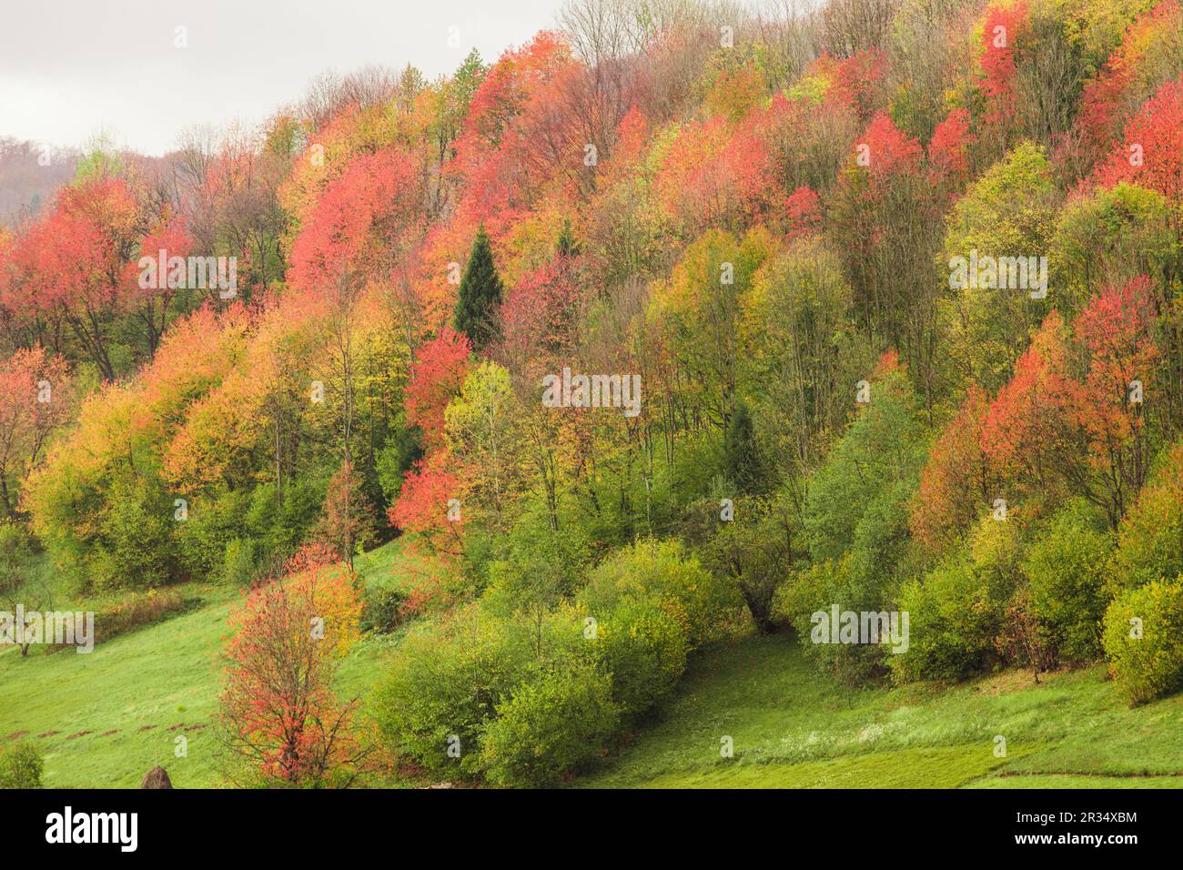 Herbstliche Landschaft Stockfoto