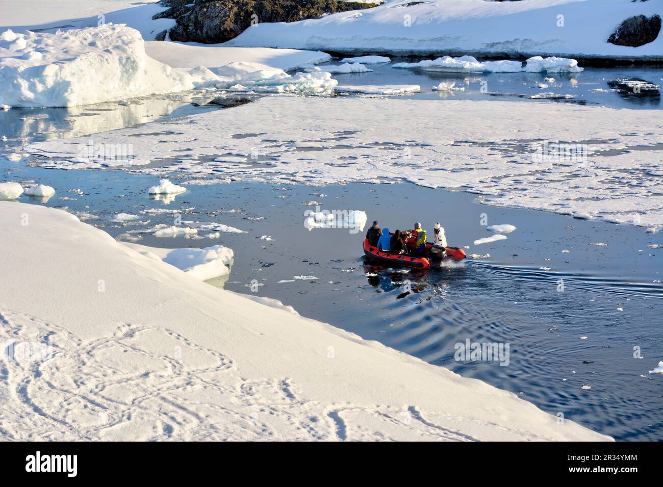 Eine Gruppe von Touristen macht einen Ausflug auf einem Motorboot in der Antarktis. Stockfoto