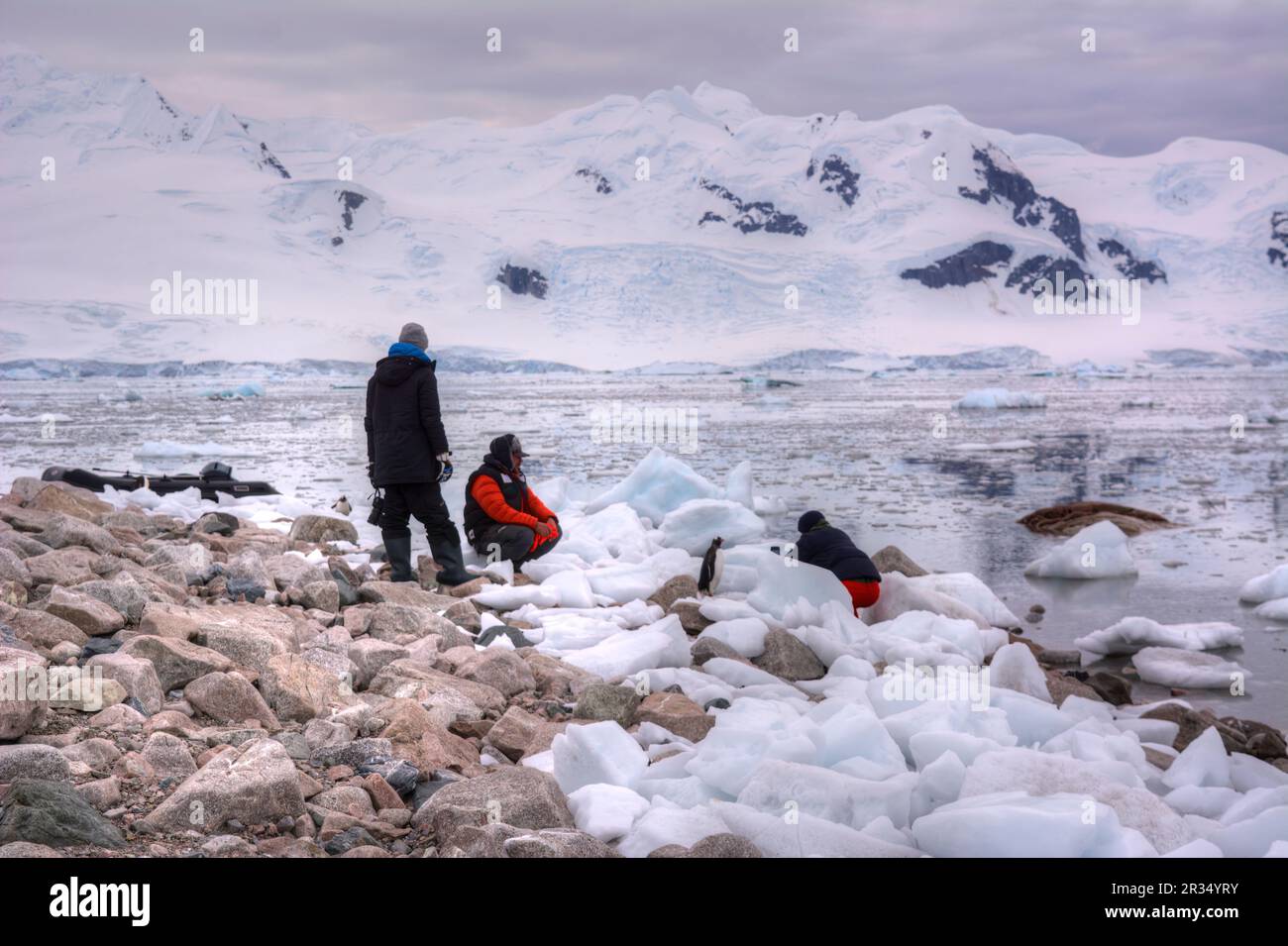 Touristen sitzen neben Pinguinen in der Antarktis Stockfoto