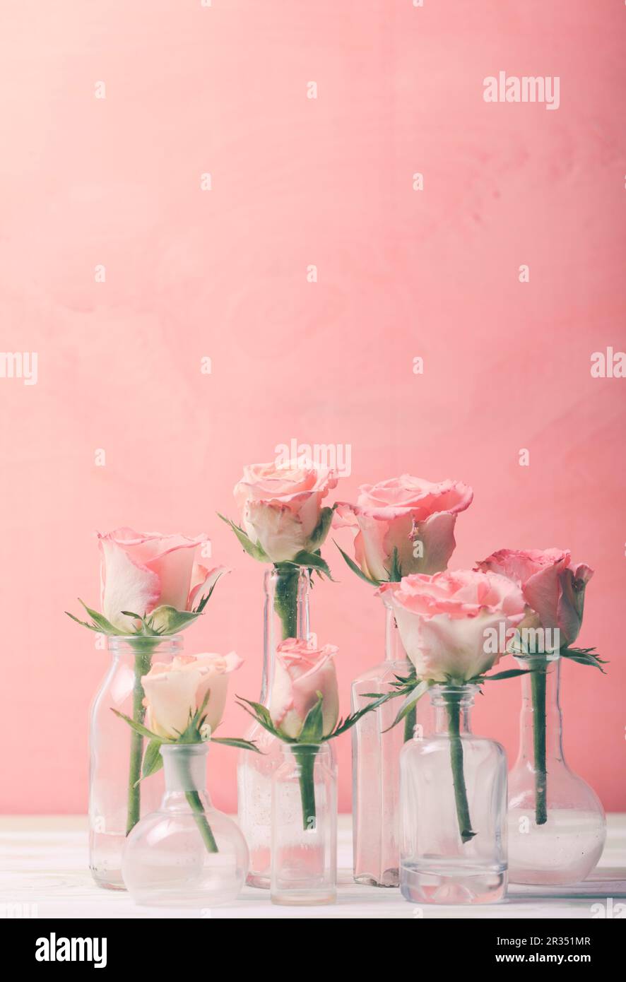 Rosen in Flaschen Stockfoto