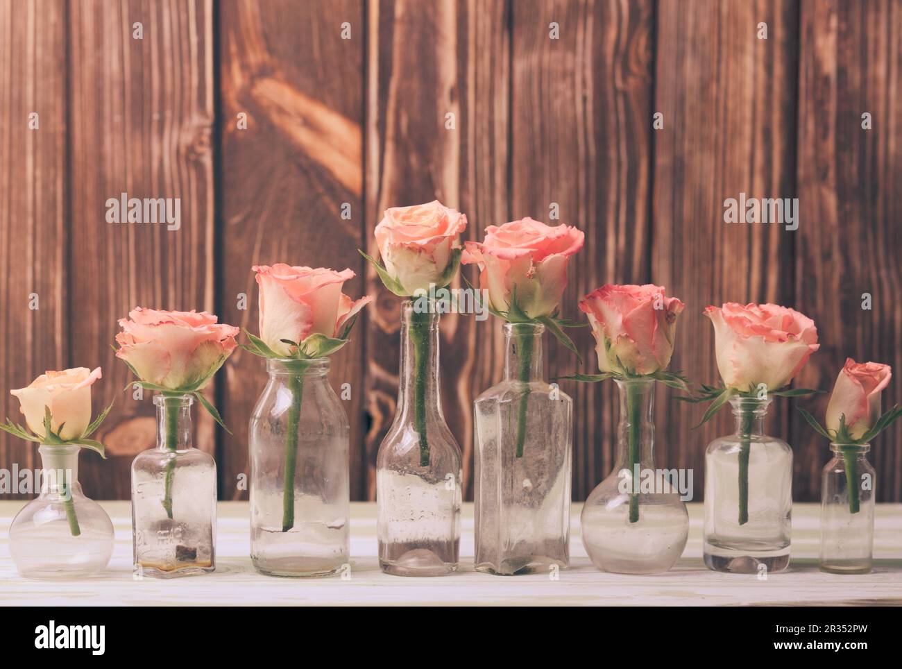Rosen in Flaschen Stockfoto