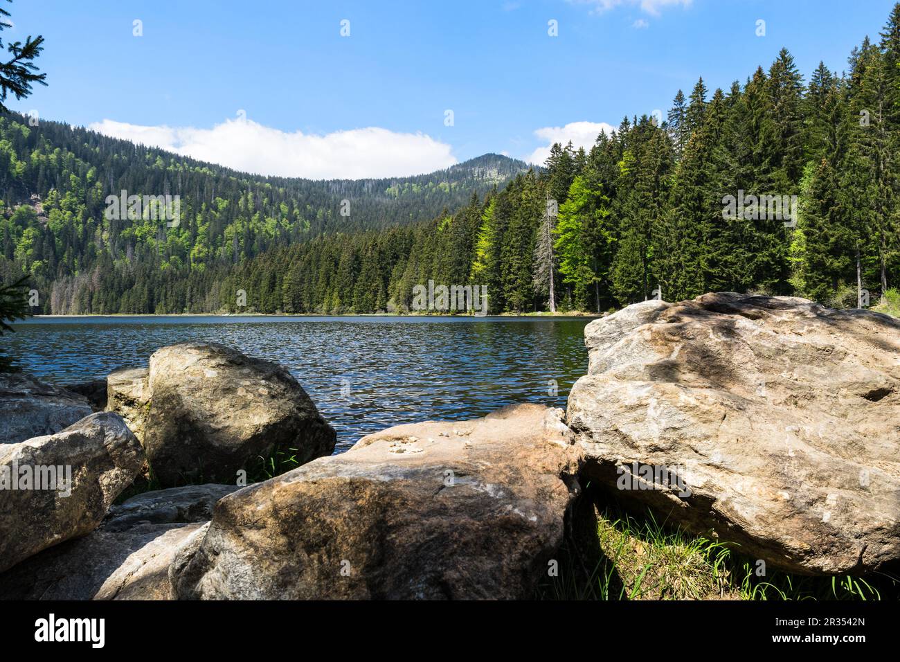 Arber Lake und Mt. Grosser Arber Stockfoto