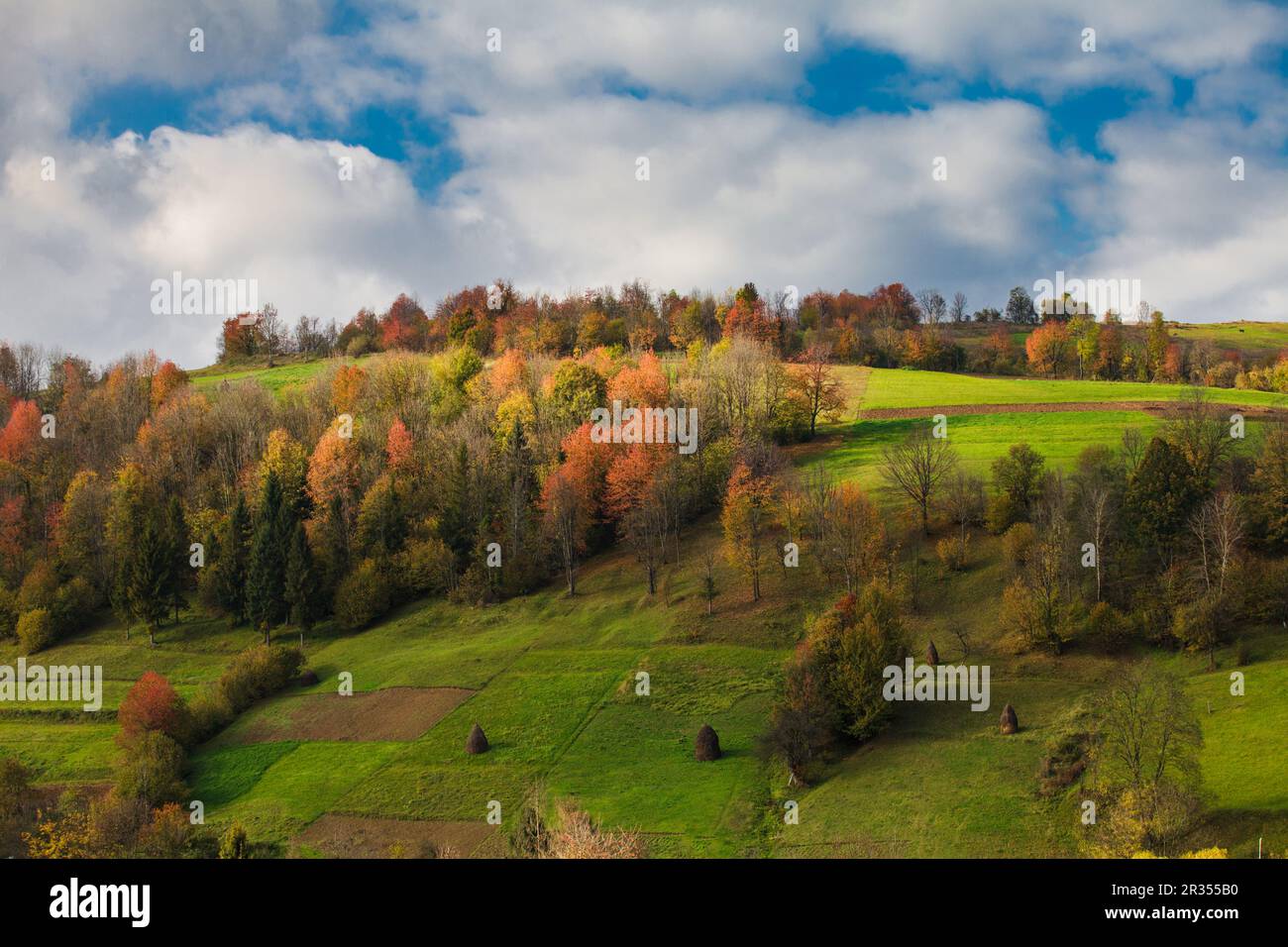 Herbstliche Landschaft Stockfoto