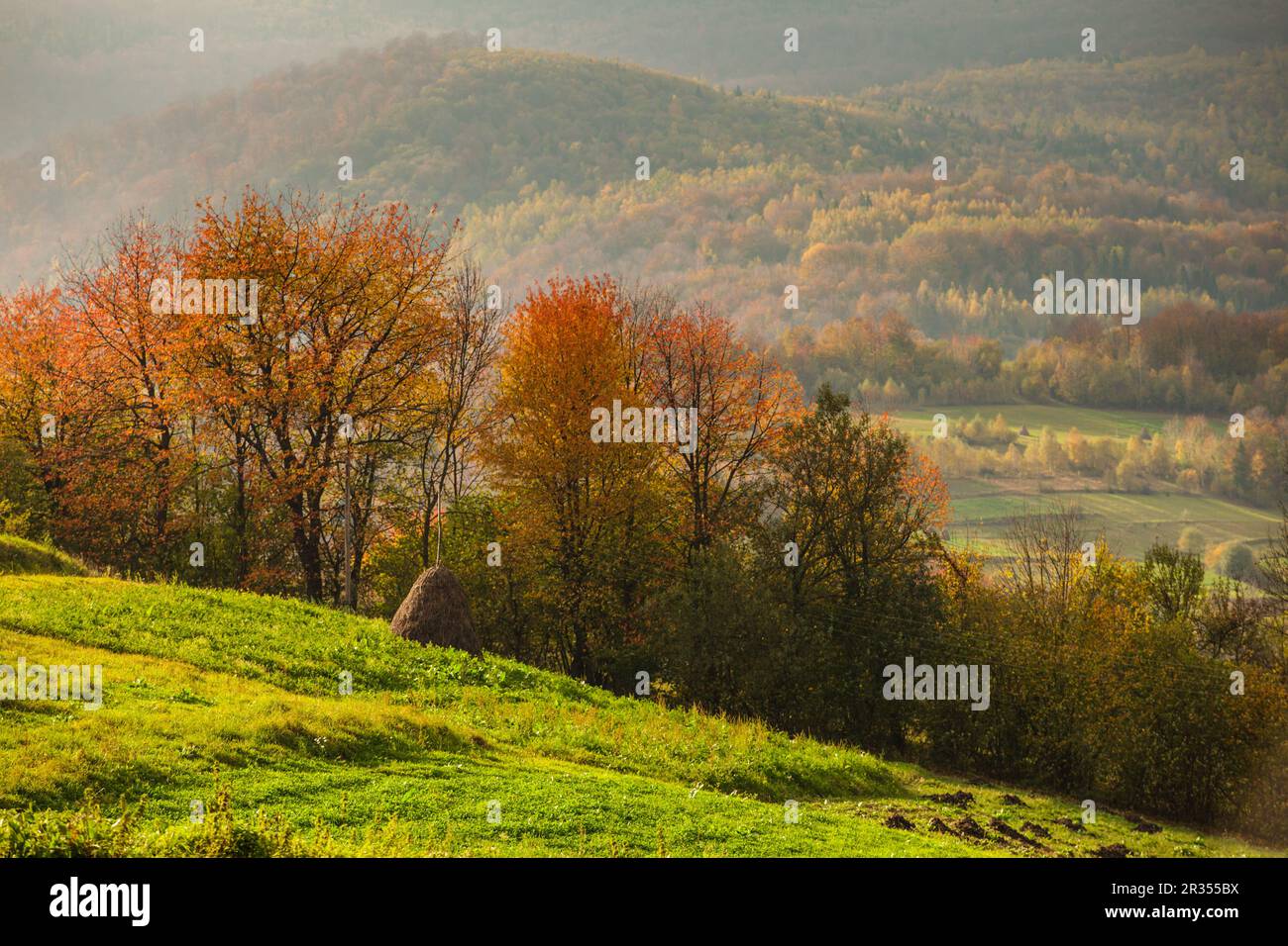Herbstliche Landschaft Stockfoto