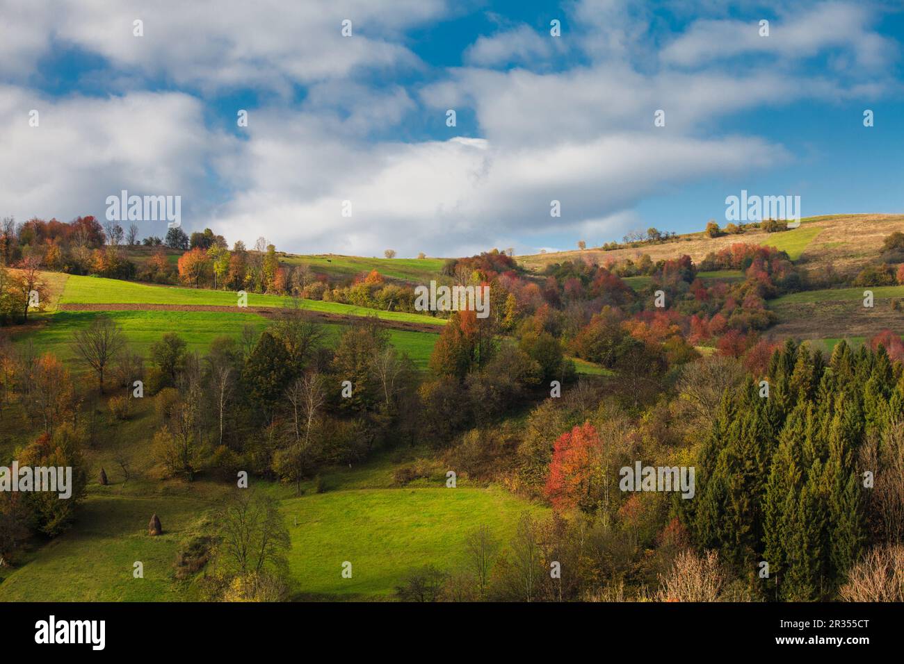 Herbstliche Landschaft Stockfoto