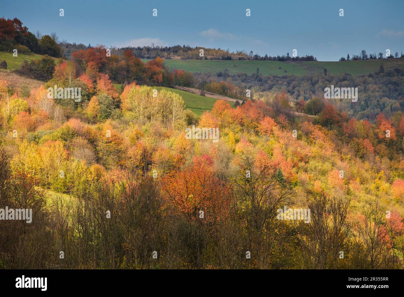 Herbstliche Landschaft Stockfoto
