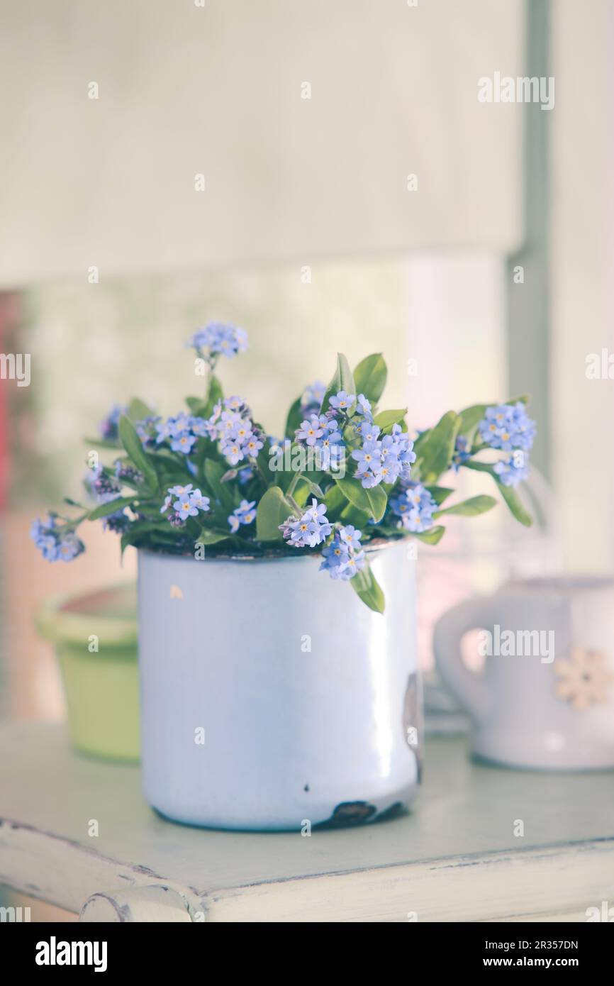 Vergissmeinnicht im rustikalen cup Stockfoto