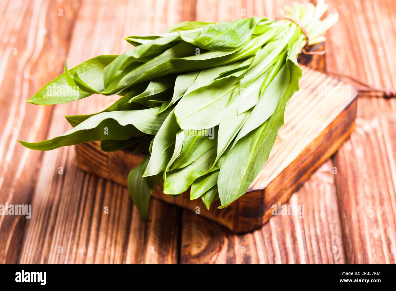 Frischen Bärlauch Stockfoto