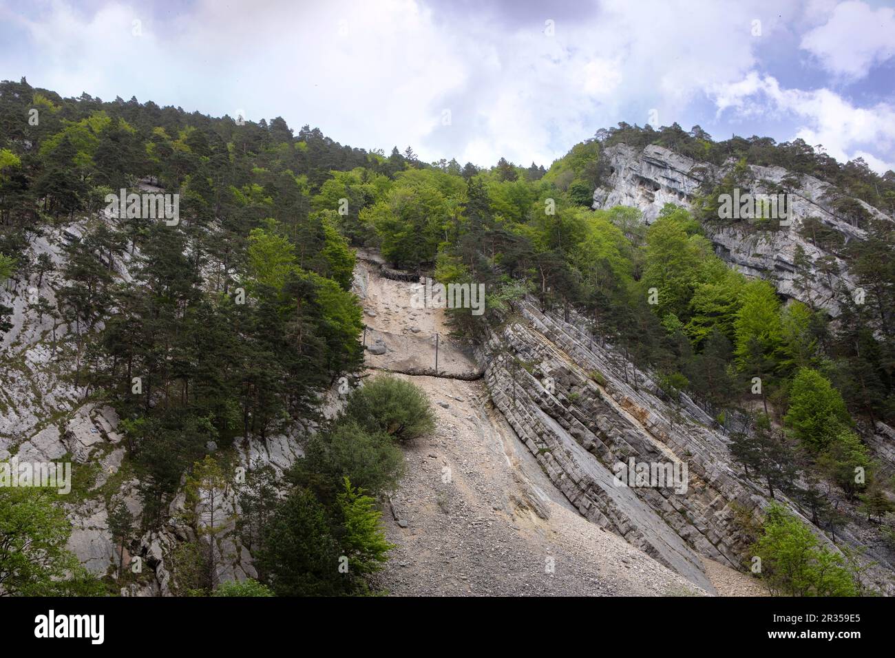 schweizer Jura-Gebirge. Steile Berghänge mit lebhaften grünen Bäumen und Steinrutsche mit Drahtschutz gegen Steine. Stockfoto
