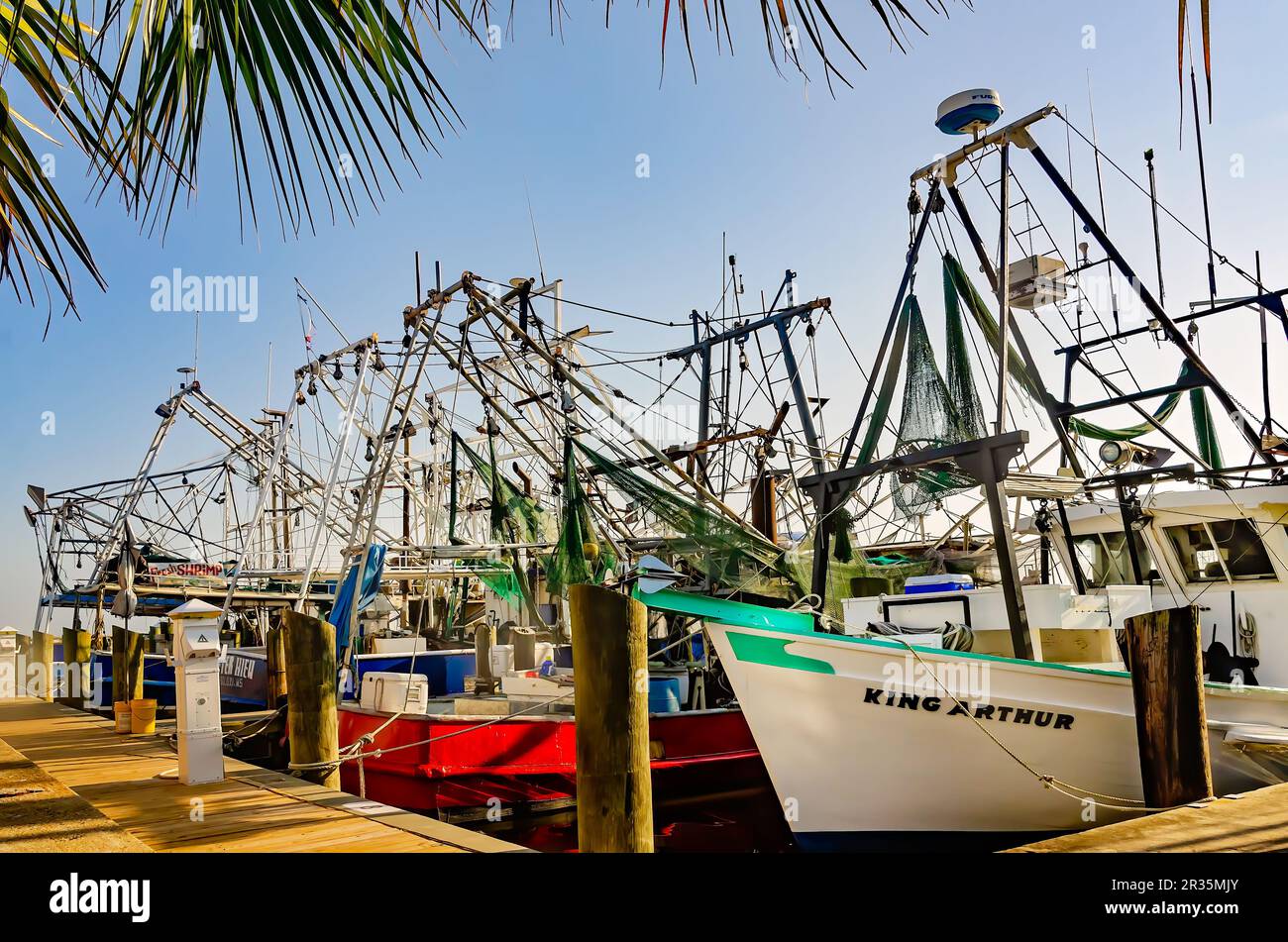 Garnelenboote legen am Biloxi Small Craft Harbor am 13. Mai 2021 in Biloxi, Mississippi, an. Die Fischindustrie hat eine lange Geschichte in der Gegend. Stockfoto