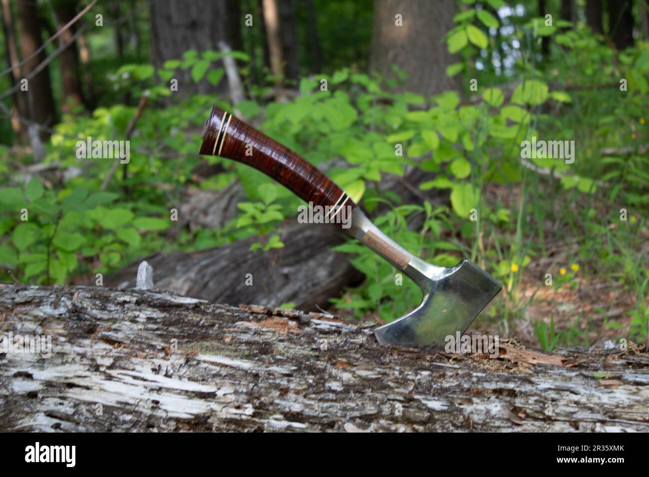 Beil im Wald Stockfoto