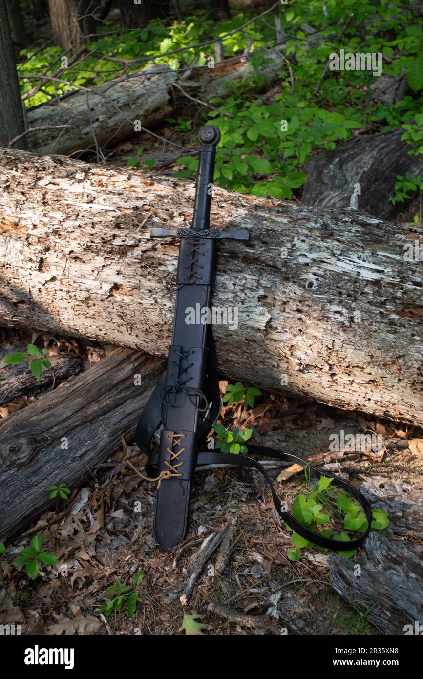 Schwert im Wald Stockfoto