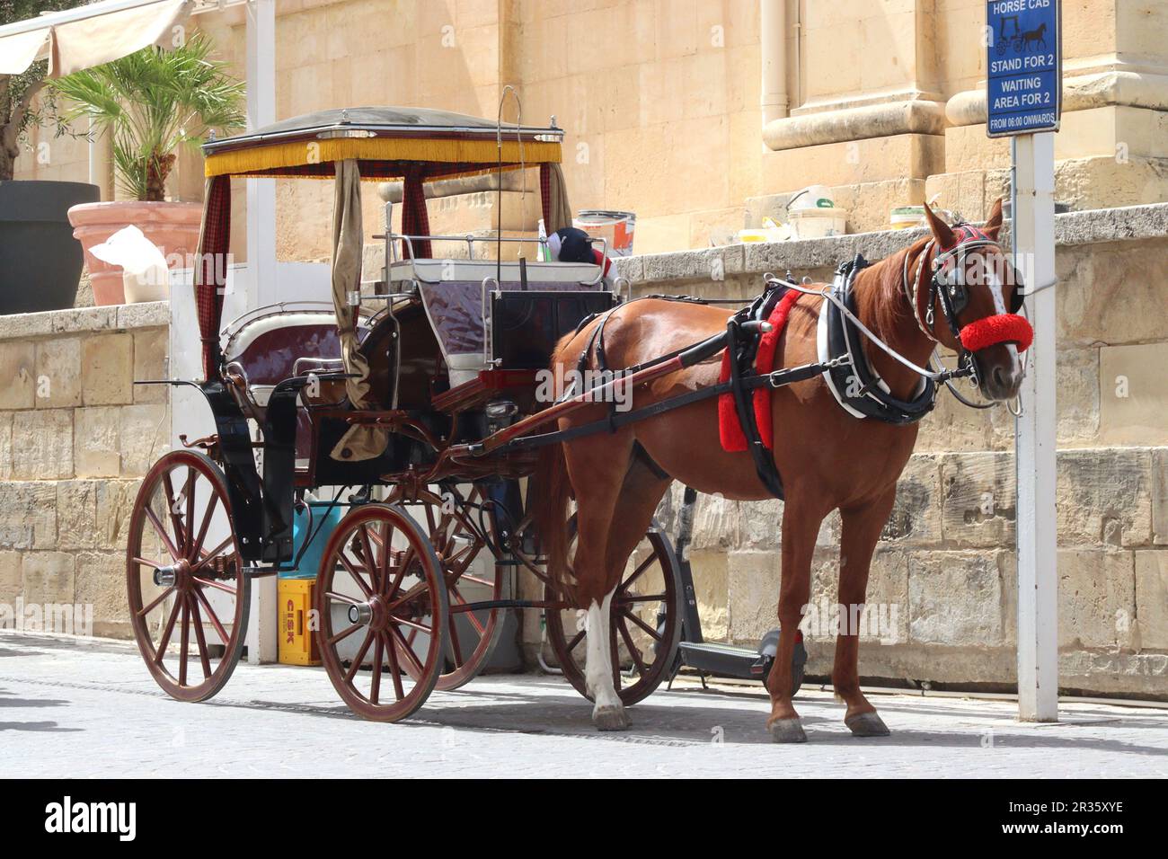 Pferdekutsche (Karozzini) in Ruhe zwischen den Fahrten, geparkt in einem ausgewiesenen Pferdekutschenbucht in Valletta, Hauptstadt von Malta, April 2023. Stockfoto