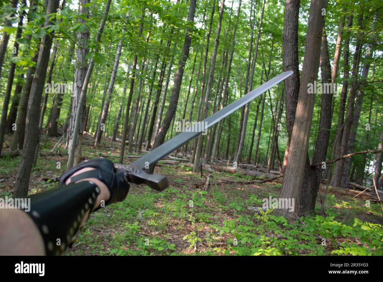Schwert im Wald Stockfoto