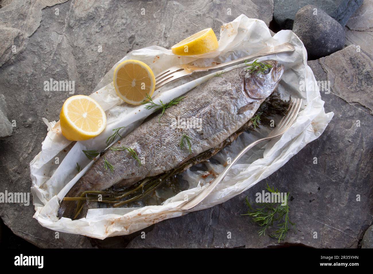 Geröstete ganze Forelle mit Dill und Zitrone in Pergamentpapier Stockfoto