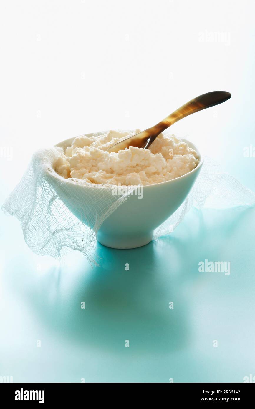 Eine Schüssel ricotta Stockfoto