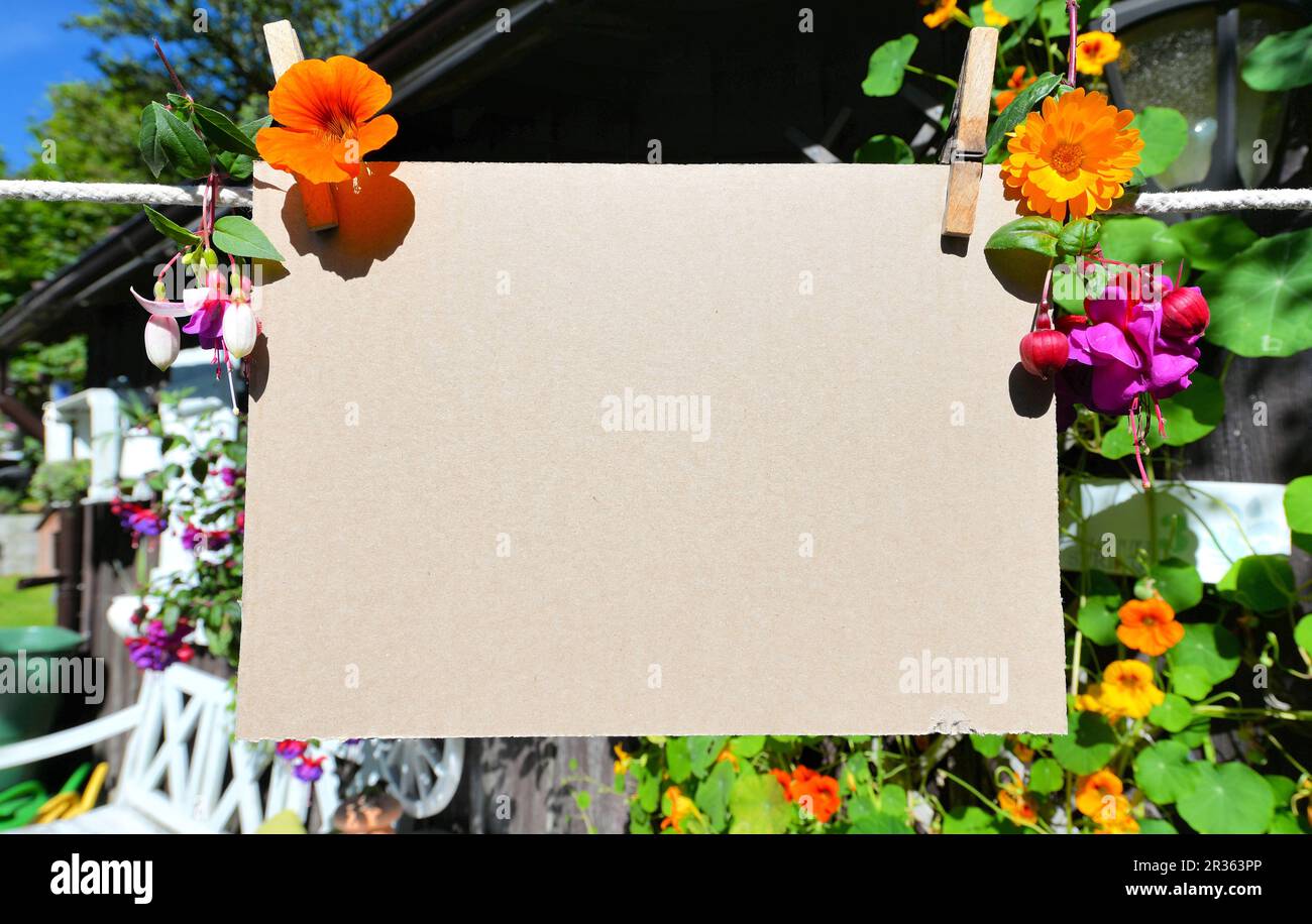 Ein Blatt Papier auf der Wäscheleine vor bunten Blumen Stockfoto