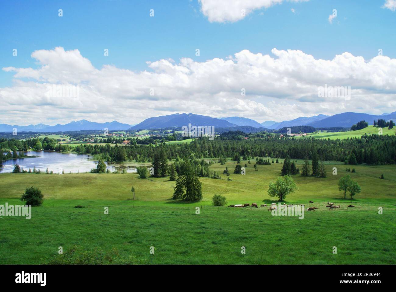 Vorgebirge der Alpen, Pfaffenwinkel, Oberbayern, Deutschland Stockfoto