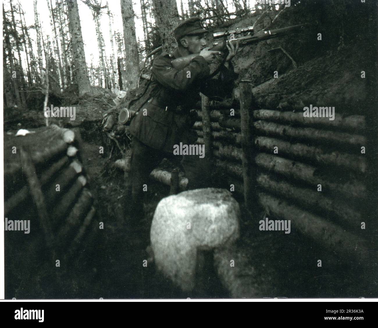 World war Two B&W Foto Ein deutscher Bergtruppen Sniper feuert aus einem Graben in den Wäldern von Nordrussland Stockfoto
