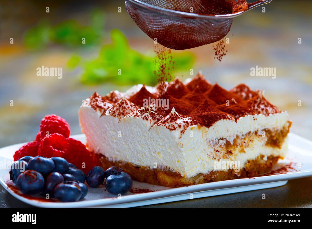 Tiramisu wird mit Kakaopulver abgewischt Stockfoto