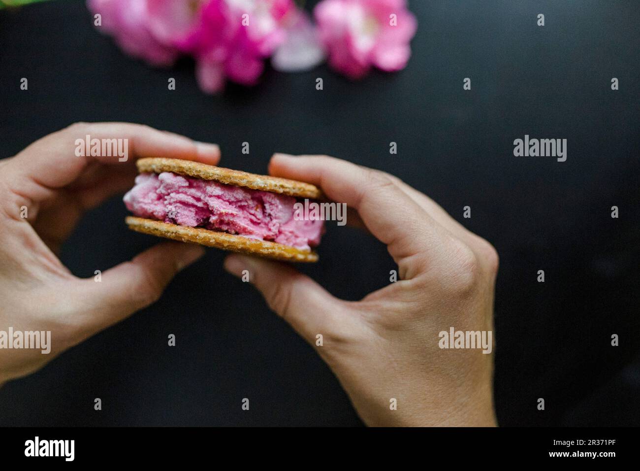 Hände halten Kirscheis-Sandwich mit Waffeln Stockfoto