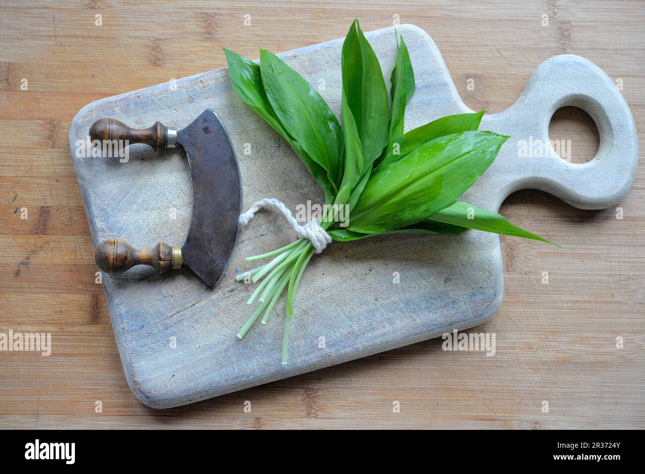 Frischer wilder Knoblauch in der Küche Stockfoto