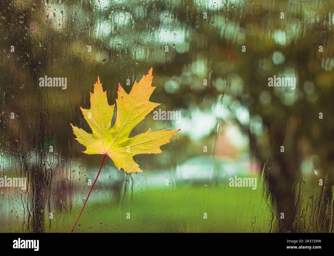 Der Blick aus dem Fenster an einem regnerischen Tag Stockfoto
