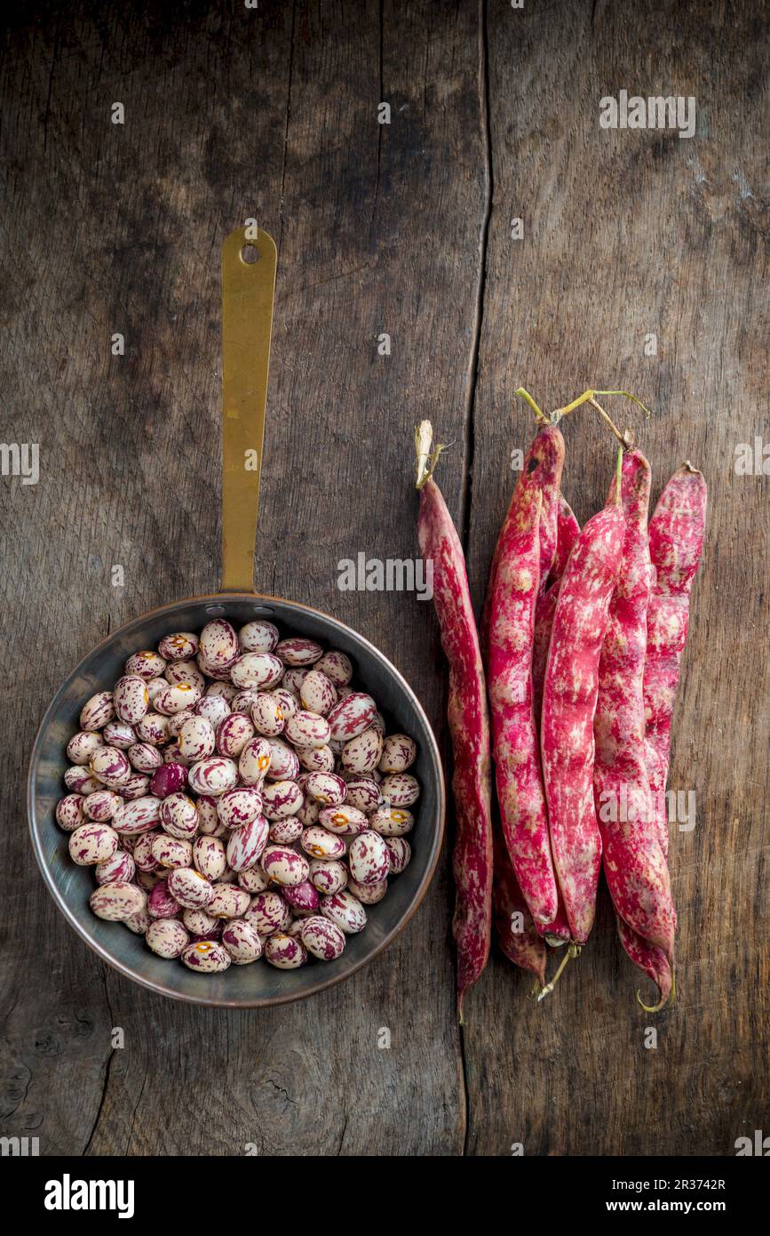 Geschält und ganze Borlotti-Bohnen auf Holzbrett Stockfoto